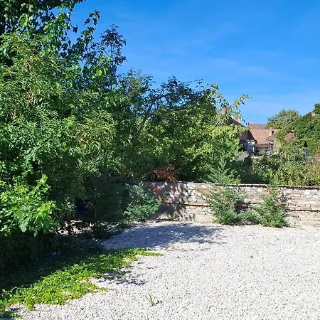 Appartamento Simor 59 Spacious Location